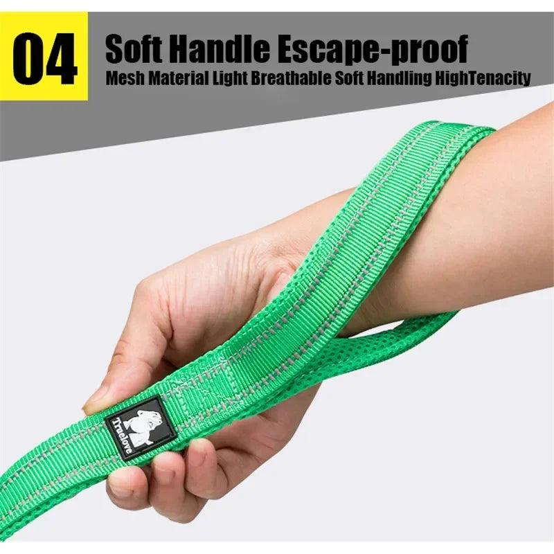 Nylon Dog Leash – Reflective Padded 200cm Walking Lead