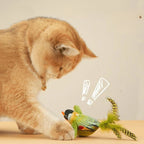Interactive Bird Cat Toy – Teaser with Catnip