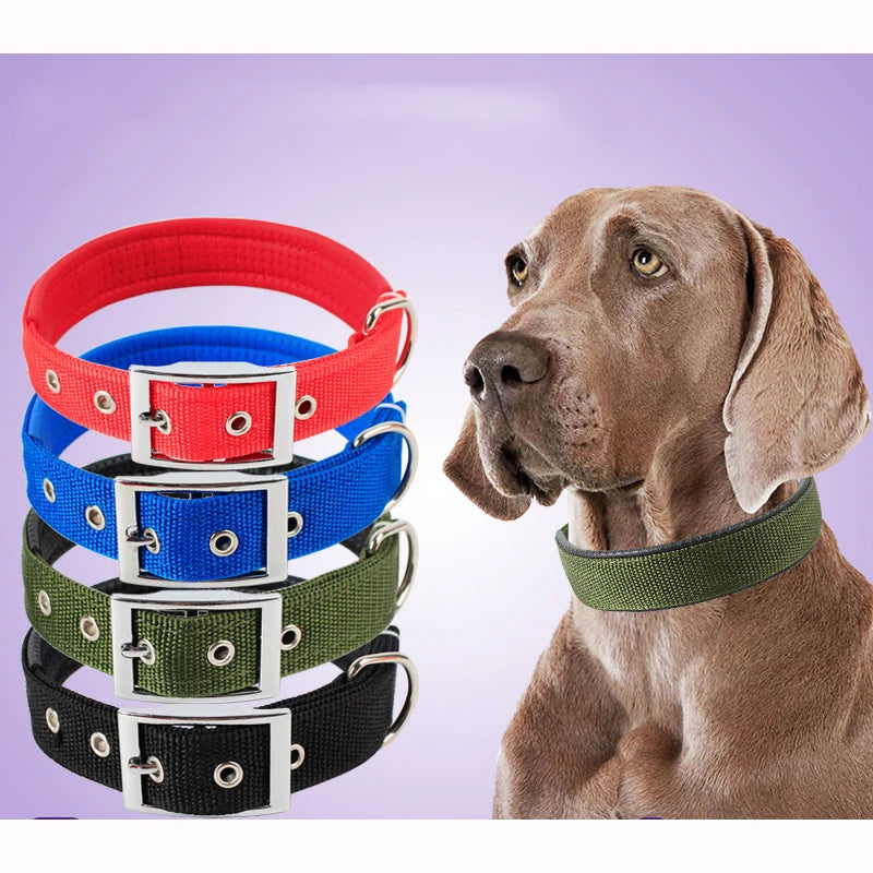 Nylon Dog Collar – Solid Breakaway Collar for All Sizes