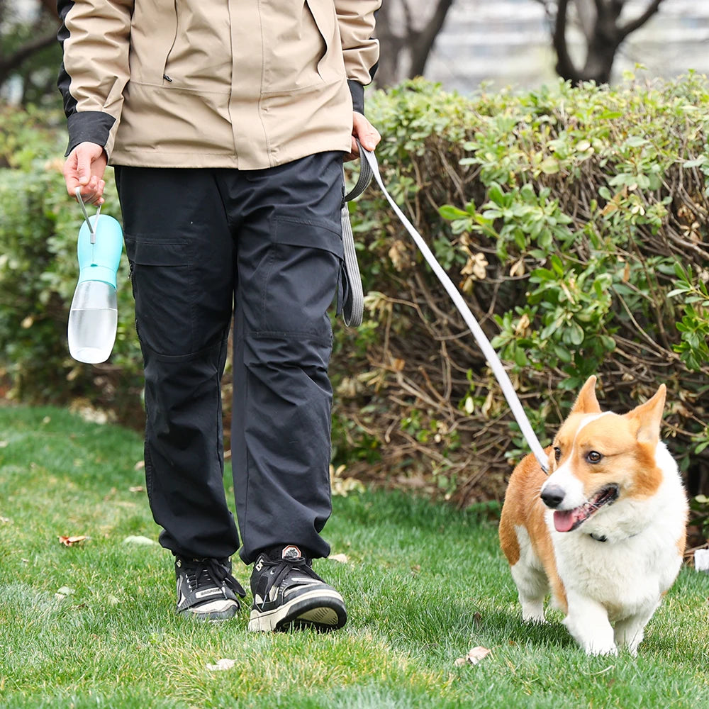 Portable Dog Water Bottle, Leakproof Pet Drinking Dispenser
