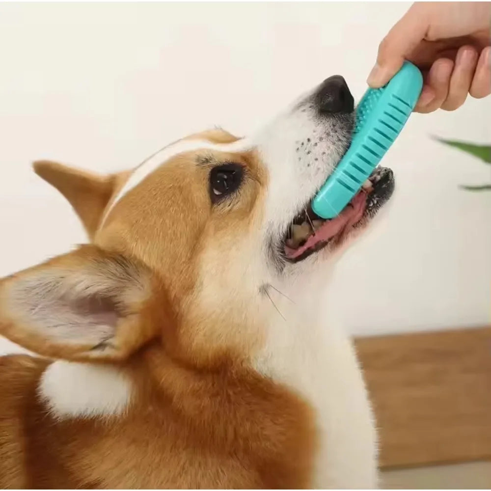 Dog Chew Toy Rubber Ball for Teeth Cleaning & Training