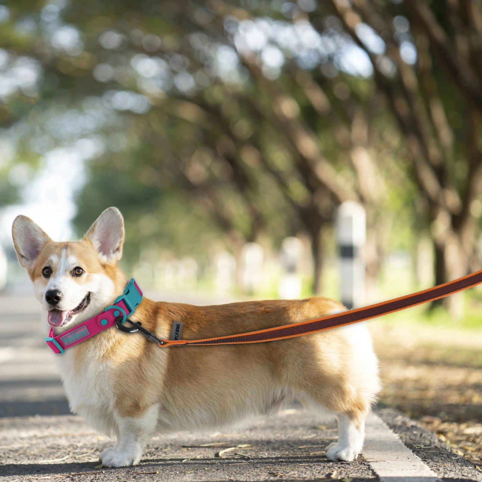 Long Dog Leash – Lightweight Training Lead With Multiple Lengths