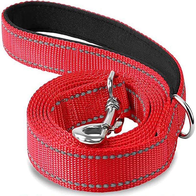 Reflective Dog Leash – Nylon Night Walking & Training Lead