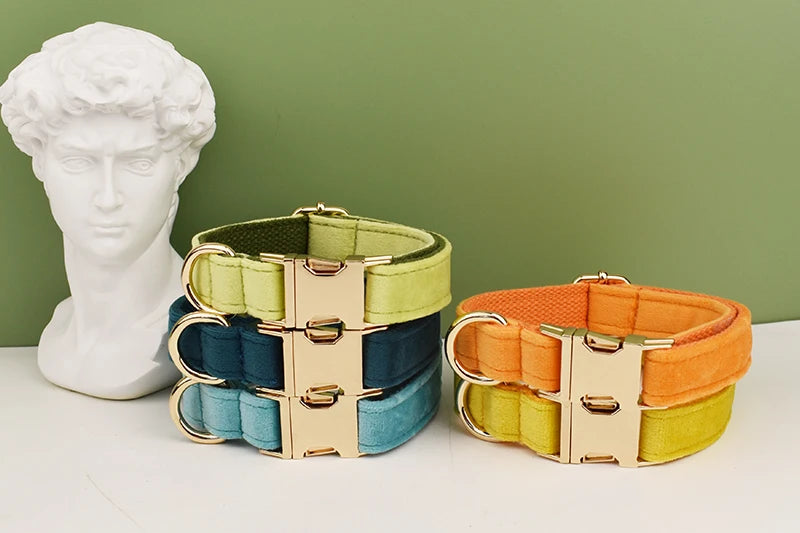 Dog Collar and Leash Set, Adjustable Velvet Collar with Gold Detail