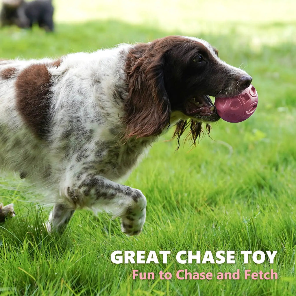 Rubber Dog Chew Ball – Squeaky Toy for Medium & Large Dogs