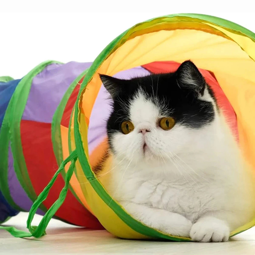 Cat Tunnel Foldable Interactive Play Tunnel for Indoor Cats & Kittens