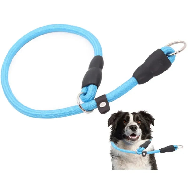 Dog Training Collar – Adjustable Nylon Collar for Walking & Training