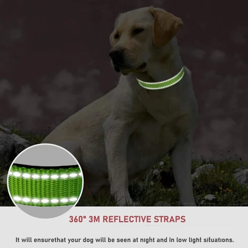 Reflective Dog Collar, Adjustable Nylon Safety Collar for Small Dogs