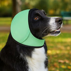 Dog Ear Protection – Noise Reduction Earmuffs