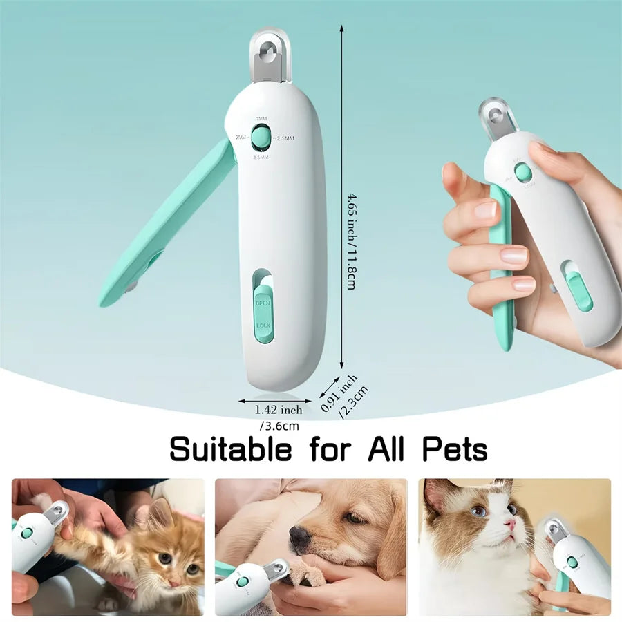 Interactive Cat Ball Toy with Touch Sounds and Catnip Compartment