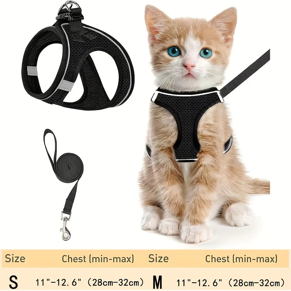 Dog Collar – Adjustable Nylon Collar