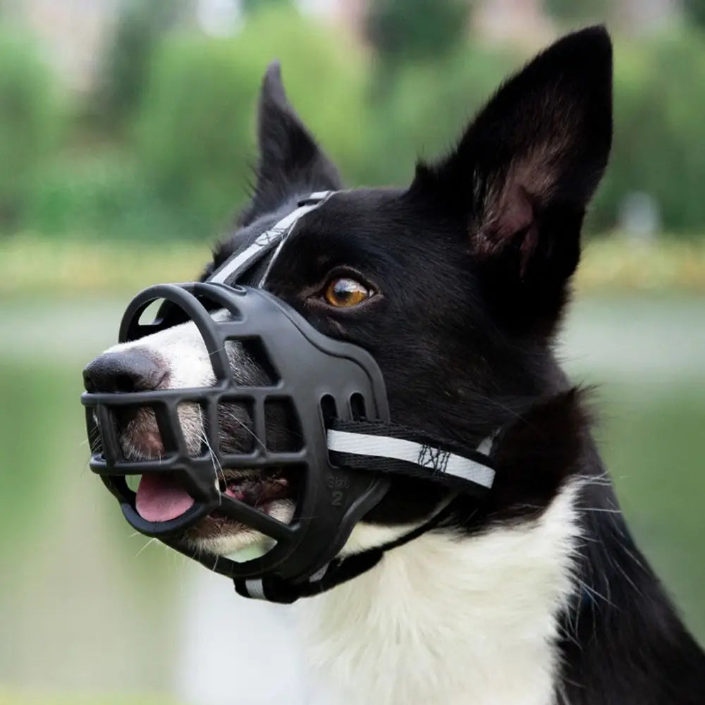 Adjustable Dog Muzzle with Reflective Strip for Drinking