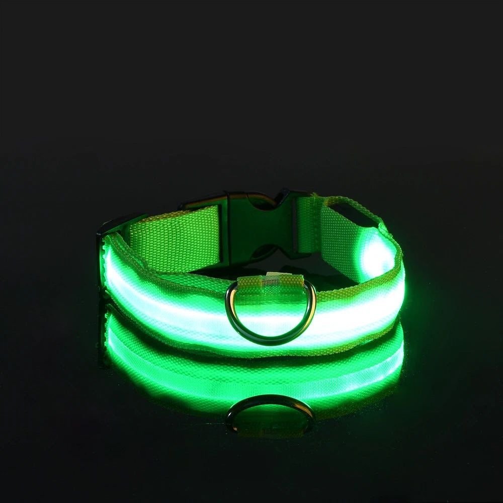 LED Dog Leash Nylon Light Up Glow Night Safety Collar