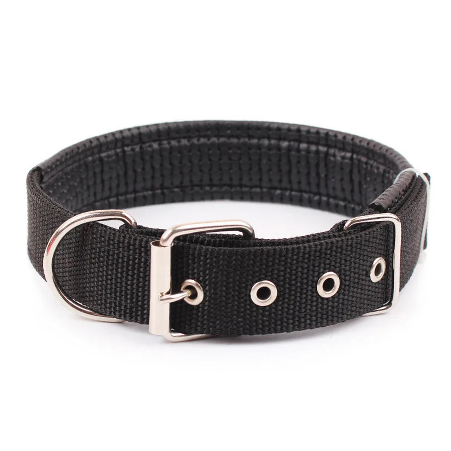 Nylon Dog Collar – Solid Breakaway Collar for All Sizes