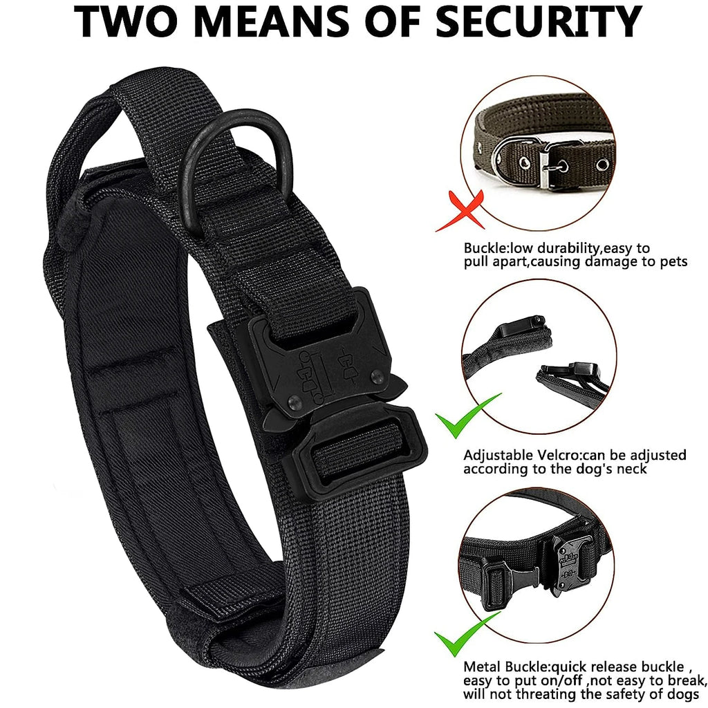 Dog Collar and Leash Set
