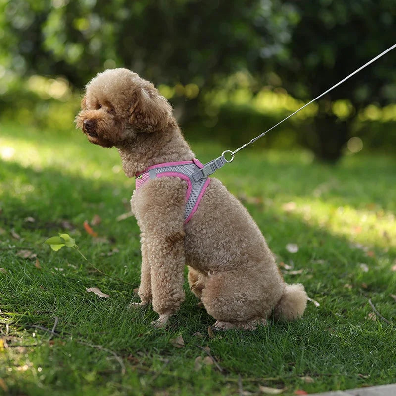 Small Dog Harness – Adjustable Reflective Vest With Leash