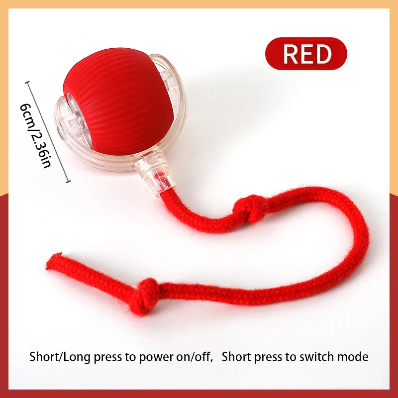 Automatic Interactive Cat Toy Ball – USB Rechargeable Rolling Toy