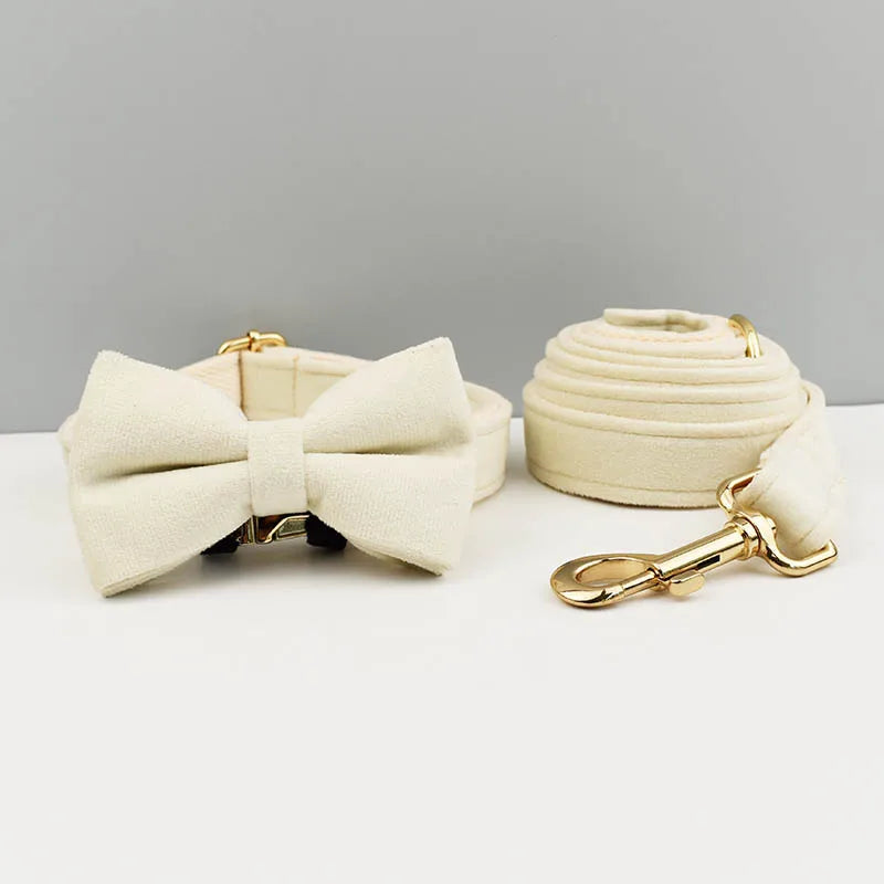 Dog Collar and Leash Set, Adjustable Velvet Collar with Gold Detail