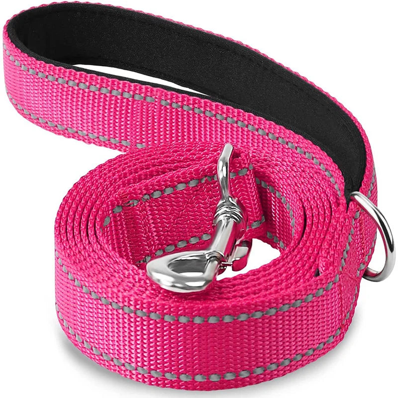 Reflective Dog Leash – Nylon Night Walking & Training Lead