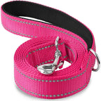 Reflective Dog Leash, Nylon Walking and Training Lead for Night