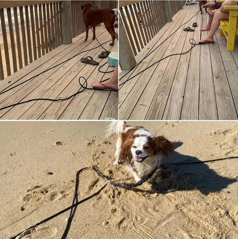 Long Dog Training Leash – 5M/10M/15M Nylon Recall Lead