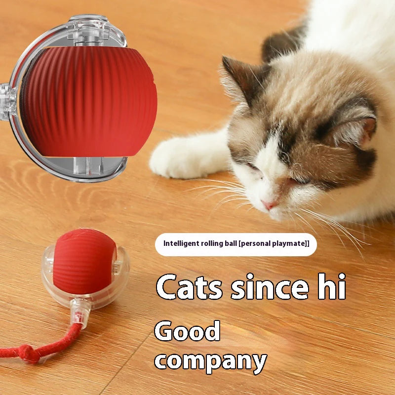Automatic Cat Ball Toy – Rechargeable Interactive Rolling Ball