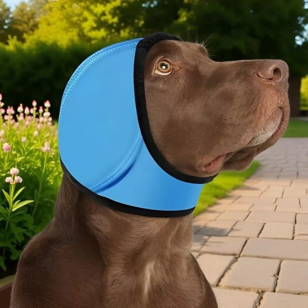 Dog Ear Protection – Noise Reduction Earmuffs