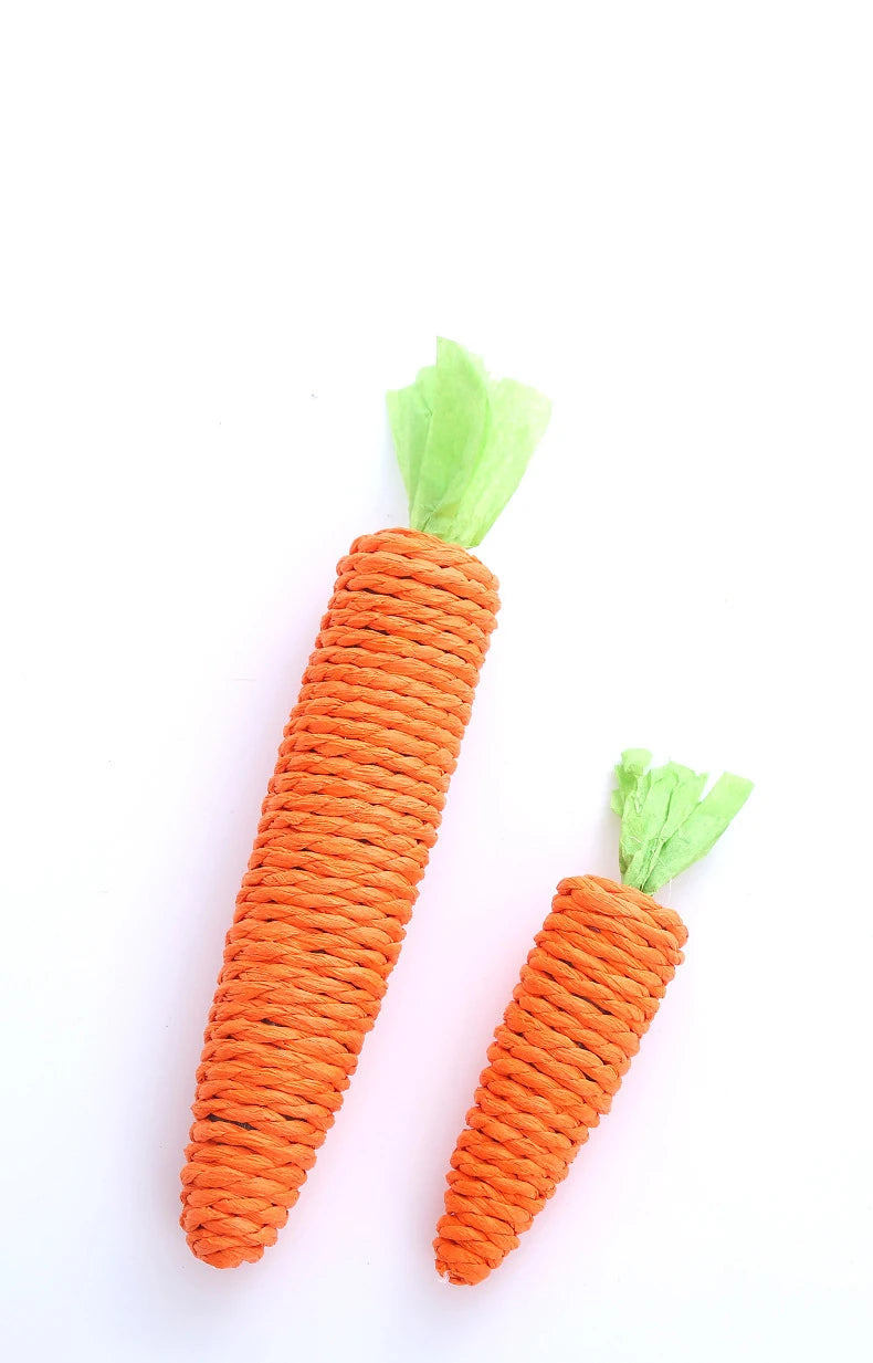 Cat Chew Toy – Carrot Interactive Dental & Scratcher Toy