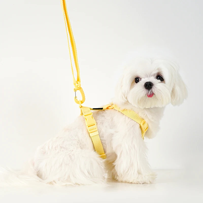 Dog Harness and Leash Set