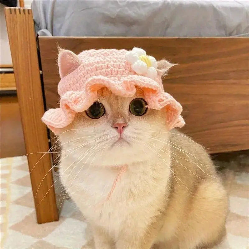 Cat Knitted Hat – Cute Winter Pet Accessory