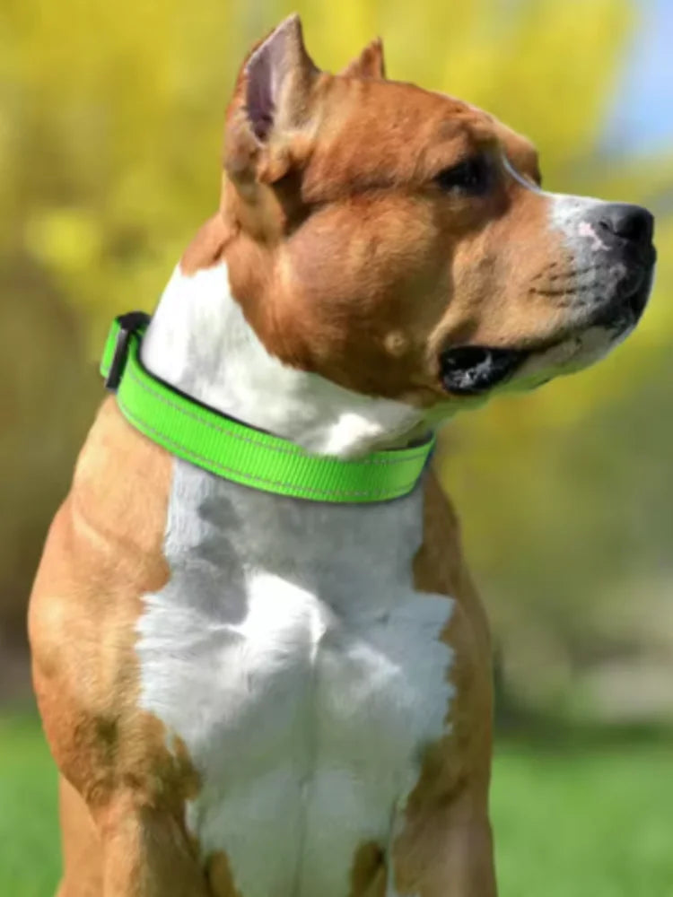 Reflective Dog Collar, Adjustable Nylon Safety Collar for Small & Medium Dogs