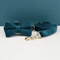 Dog Collar and Leash Set, Adjustable Velvet Collar with Gold Detail