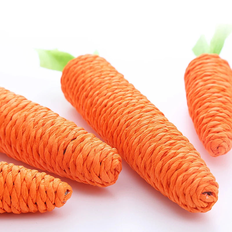 Cat Chew Toy – Carrot Interactive Dental & Scratcher Toy
