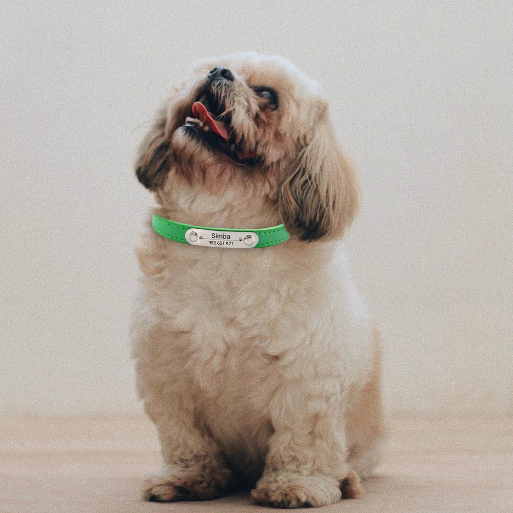 Personalized Dog Collar – Engraved Leather Pet ID Collar