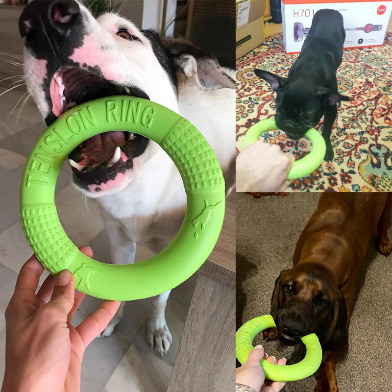 Dog Training Ring – Rubber Interactive Fetch & Flying Disc Toy