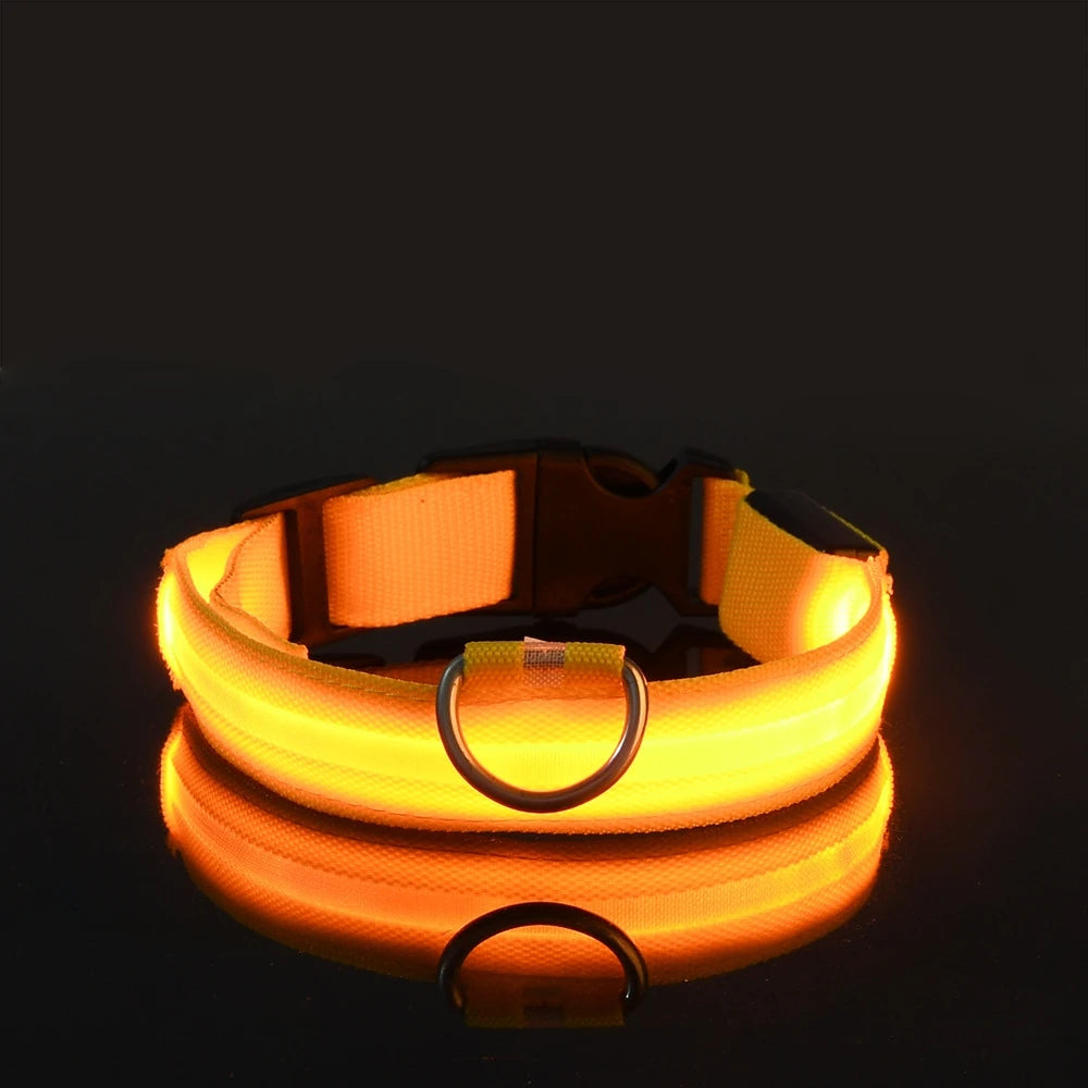 LED Dog Leash, Light-Up Nylon Safety Leash for Night Walking