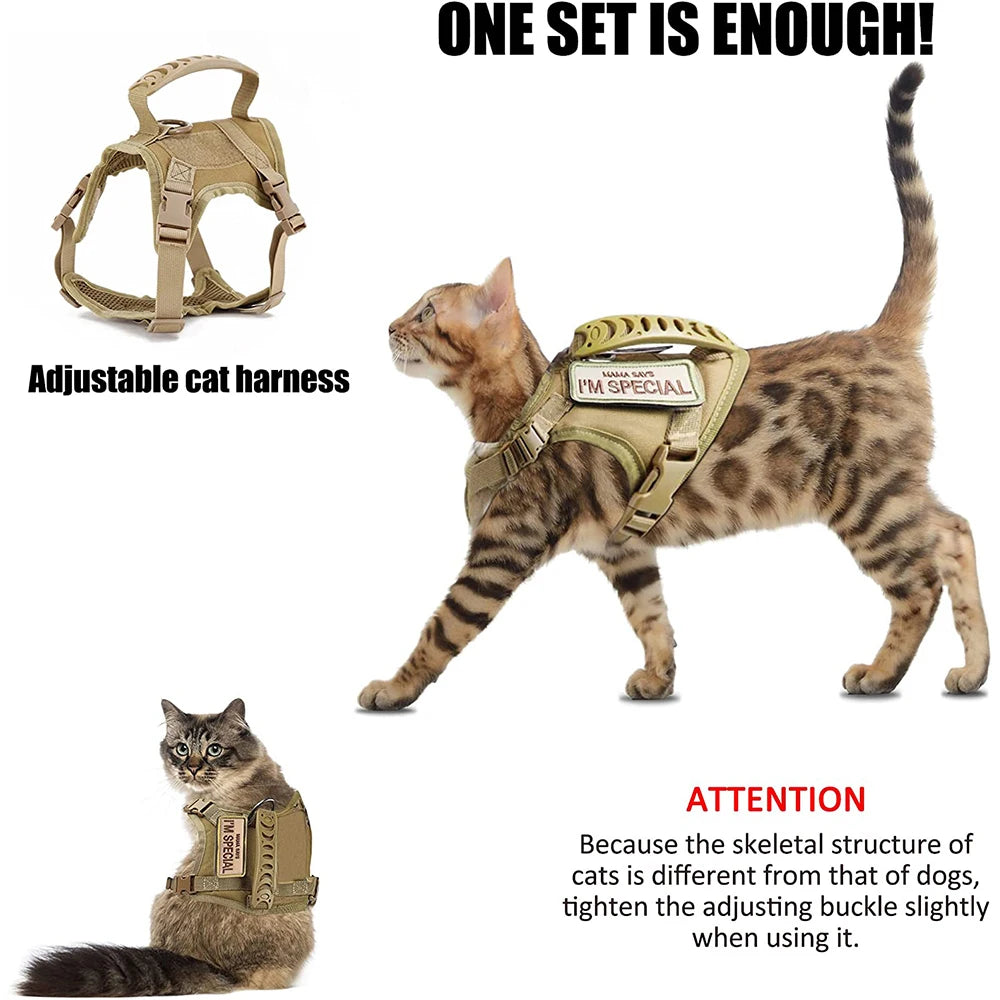 Tactical Cat Harness – Adjustable Soft Mesh Pet Vest