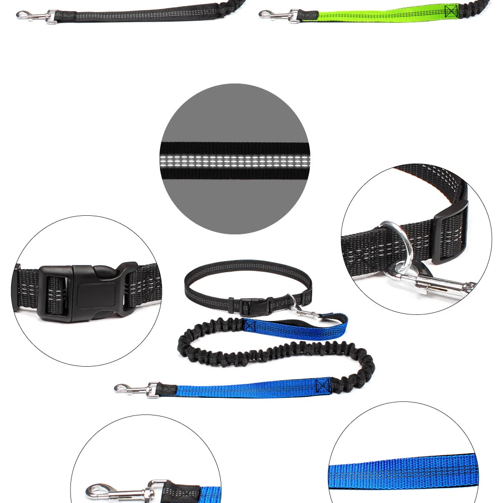 Hands Free Dog Leash