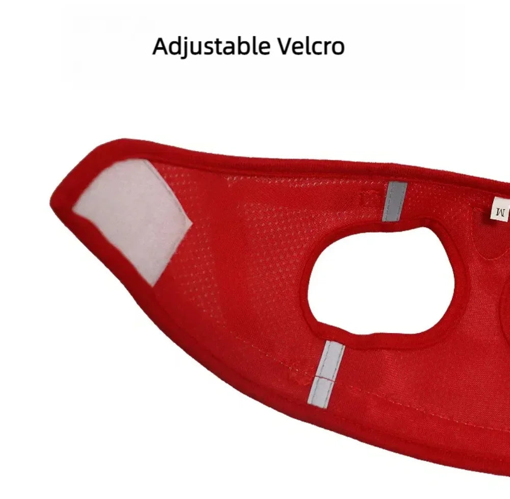 Cat Harness and Leash Set – Adjustable Reflective Mesh Vest