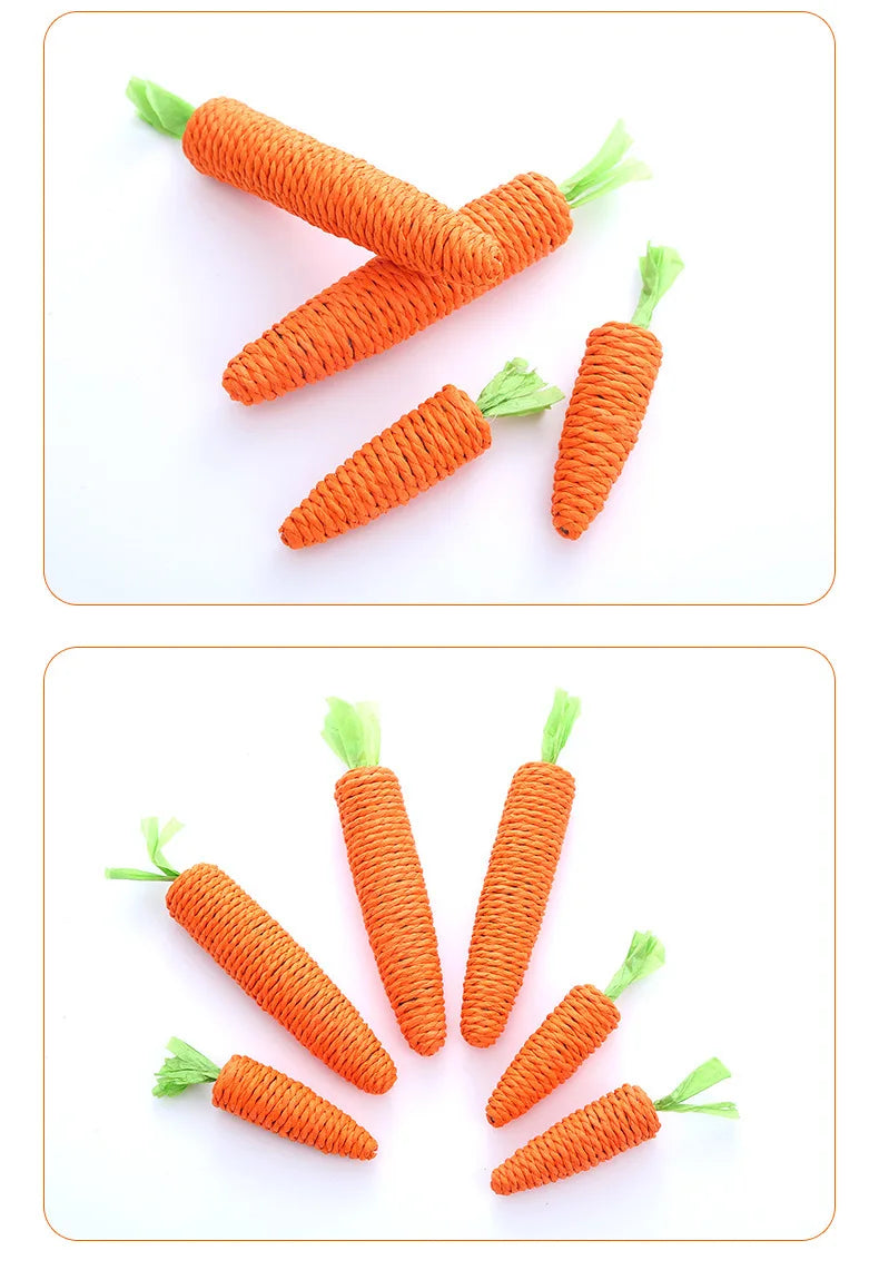 Cat Chew Toy – Carrot Interactive Dental & Scratcher Toy