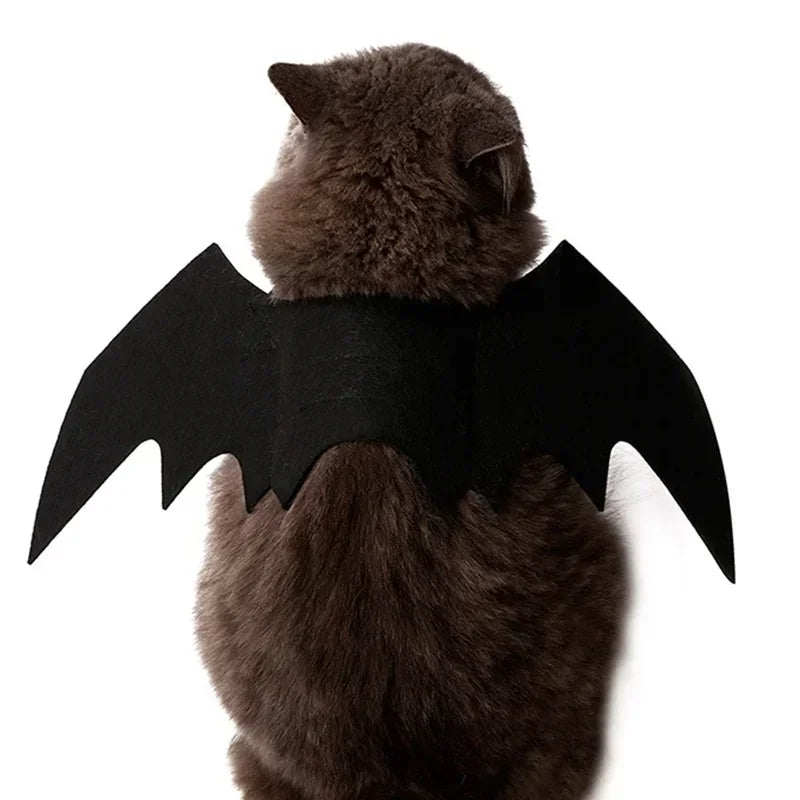 Bat Wing Cat Costume – Black Halloween Pet Cosplay Outfit