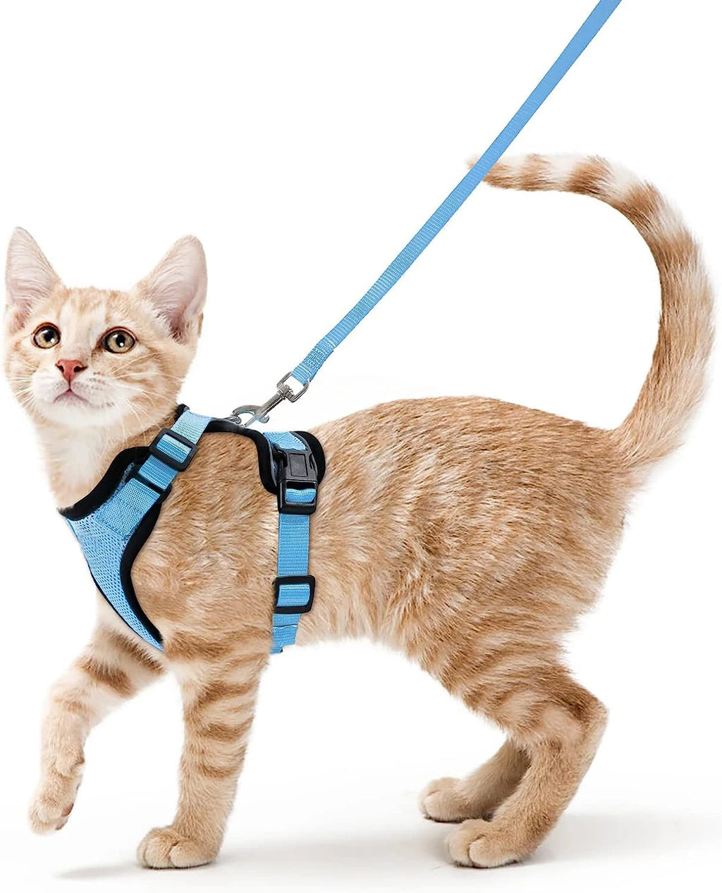 Cat Harness and Leash Set – Adjustable Vest for Walking
