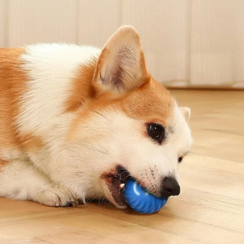 Interactive Dog Ball Toy – Automatic Moving Rechargeable Toy