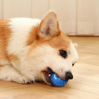 Interactive Dog Toy – Automatic Moving USB Ball for Dogs