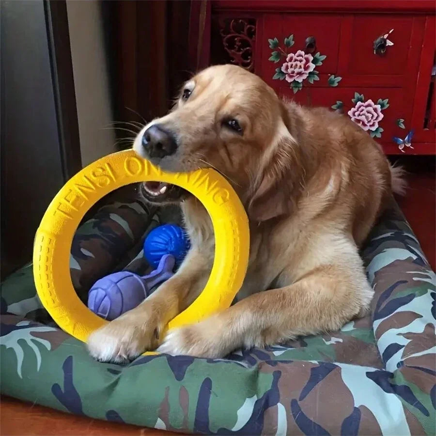 Flying Disc Dog Toy – Interactive Fetch & Pull Ring