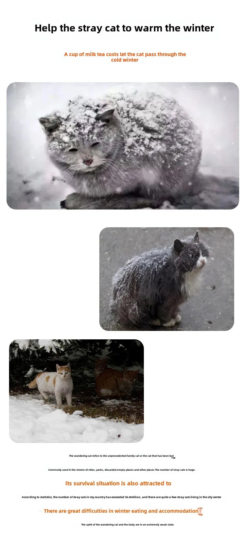 Outdoor Cat House – Waterproof Winter Pet Cave