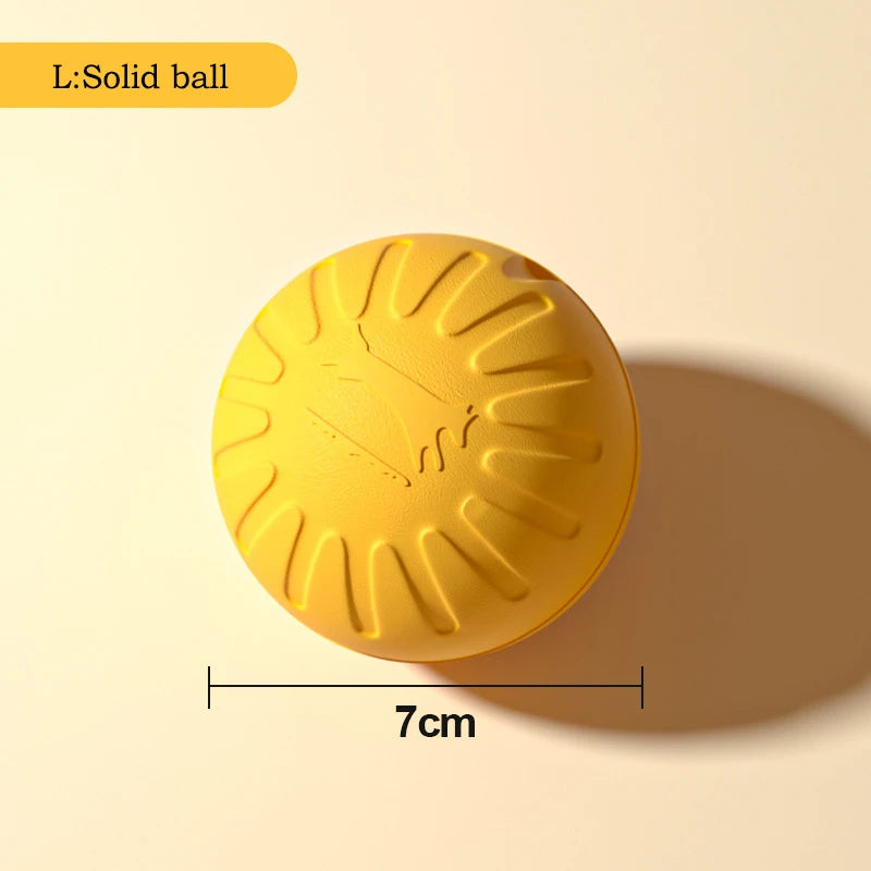Dog Toy Set – EVA Ball, Flying Disc & Tug Rope