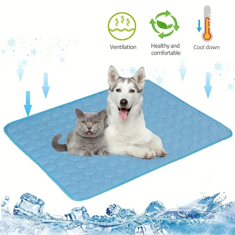 Mouse Cat Toy in Cage, Interactive Chase Toy for Indoor Cats