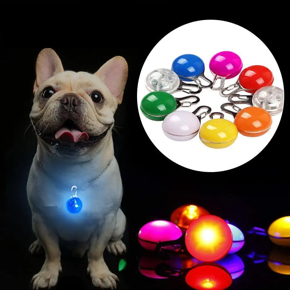 LED Dog Collar Light, Glow Pet Safety Pendant for Night Walks