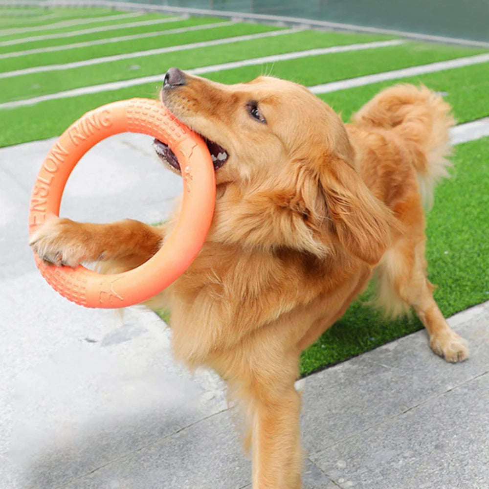 Flying Disc Dog Toy – EVA Interactive Training Ring
